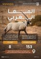 بعد 90 عامًا من انقراضه.. هيئة تطوير محمية الملك سلمان تعيد 153 من المها العربي ضمن برامج توطين الكائنات المهددة بالانقراض