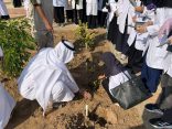 ‏‏بيئة جدة تغرس 1000 شتلة بجامعة الملك عبدالعزيز ضمن مبادراتها لتعزيز الوعي البيئي والاستدامة