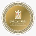 وزارة الخارجية المصرية تطمئن على أوضاع الجالية المصرية في فنزويلا