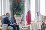 السفير المصري يلتقي أمير دولة قطر