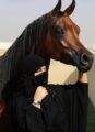 الشاعرة والفارسة سجى العريجة تتألق في أغنيتها الوطنية الجديدة ( أباهي العالم)