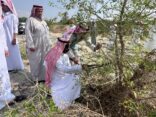 بيئة العرضيات ينفذ مبادرة تقليم الأشجار وورشة العمل التوعوية الميدانية