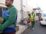 أمانة جدة تكثف مراقبتها على البيع العشوائي وترصد 30 ك من الخضروات