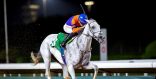 الجواد ” انهمر ” بطلاً لكأس نادي سباقات الخيل