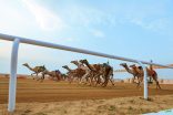 مهرجان ولي العهد بالطائف يختتم مرحلته التمهيدية