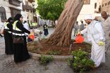 بيئة مكة والثقافة تشجران جدة التاريخية ضمن المرحلة الأولى