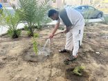 بيئة جدة تنفذ مبادرة بيئية تطوعية بالمحكمة العامة بجدة