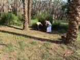 بيئة الكامل ينفذ جولة ميدانية إرشادية علي احدى المزارع بالمحافظة وإرشادهم الي الافات الحشرية في الأشجار