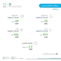 “نشرة الإحصاء” : نمو ملحوظ في حركة الركاب والشحن الجوي عبر مطارات المملكة لعام 2024