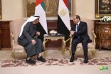 السيسي يستقبل الشيخ محمد بن زايد آل نهيان رئيس دولة الإمارات العربية المتحدة