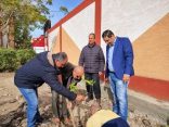ازرع شجرة فى بيلا بكفر الشيخ