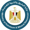 وزارة البترول المصرية حريق على سفينتي التغويز والتخزين في ميناء دمياط وتم التعامل مع الموقف