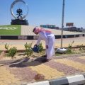 بيئة الكامل تنفذ ثلاث مبادرات لسقيا المزروعات والتشجير بعدد من حدائق المحافظة