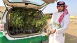 بيئة الخرمة تطلق مبادرة لتشجير مسلخ مركز الغريف تعزيزاً للغطاء النباتي