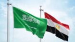مصر تدين الاعتداءات على مطارات السعودية