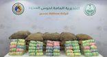 حرس الحدود بمنطقة عسير يحبط تهريب 375 كلجم من نبات القات المخدر