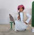 محمد ثقل.. سن الرابعة انطلاقتي أملك 8 طيور.. وأبحث عن المركز الاول