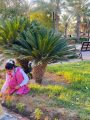 تعليم الطائف يشارك في فعاليات موسم التشجير الوطني 2025م