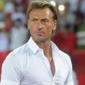 المدير الفني رينارد يعلن قائمة المنتخب السعودي الأول المشاركة في كأس الخليج 26