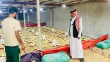 بيئة الجموم تضبط مزرعة دواجن عشوائية