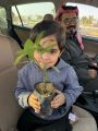 بيئة رنية توزيع عدد من الشتلات على الأهالي