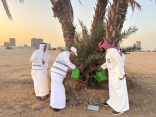 بيئة منطقة مكة المكرمة تشارك في مبادرة الحفاظ على الأشجار المعمرة