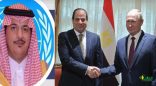 فهد المري: مشروع الضبعة سيعزز من مكانة مصر الاقتصادية والدولية