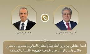 نائب رئيس الوزراء الباكستاني يجري اتصالًا هاتفيًا بوزير الخارجية المصري
