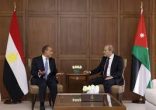 وزير الخارجية الأردني يلتقي نظيره المصري