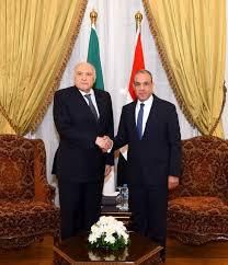 وزير الخارجية الجزائري يلتقي نظيره المصري