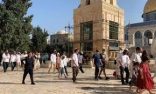 خبراء أمميون يحذرون من تصاعد عنف المستوطنين في الضفة الغربية