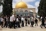 الأردن تدين استمرار اقتحامات المستوطنين المتطرفين للمسجد الأقصى