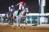 كأس الشفا يجمع نخبة الخيل نجيب الزمان و قسورة الخالدية في الشوط التحضيري لكأس الأمير عبدالله الفيصل