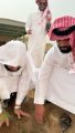 بيئة رنية تبادر بتشجير ابتدائيه ومتوسطه الضرم بالمحافظة