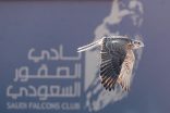 كأس نادي الصقور السعودي في حفر الباطن.. إبراز للموروث واعتزاز بالثقافة