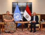 وزير الخارجي المصرى يستقبل الممثلة الخاصة للأمين العام للأمم المتحدة في ليبيا