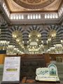 (علم راسخ وفهم سليم).. برنامج صيفي بالمسجد النبوي لنشر الوسطية وتعزيز الأمن الفكري بين الزائرات