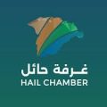 الغرفة التجارية بحائل تنظم ورشة لتعزيز خطط التدريب الإلكتروني لمنشآت القطاع الخاص