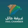 الغرفة التجارية بحائل تنظم ورشة لتعزيز خطط التدريب الإلكتروني لمنشآت القطاع الخاص